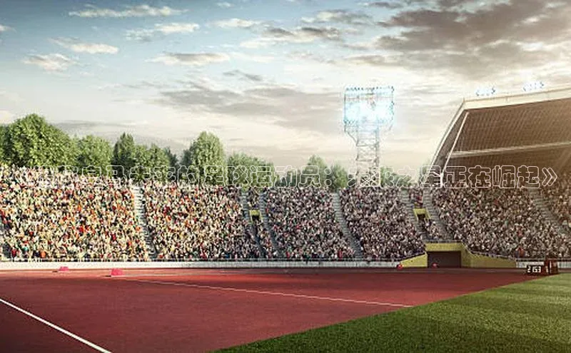 球速体育app官方下载华扬联众《揭秘皇马未来的足球运动员：未来之星正在崛起》