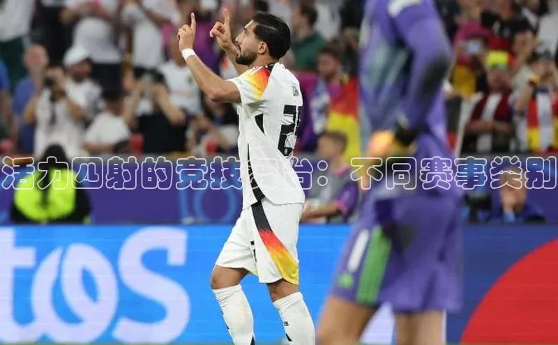 活力四射的竞技舞台：不同赛事类别