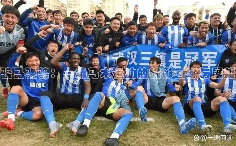 骏马驰骋：一场马术运动的精彩回顾与展望