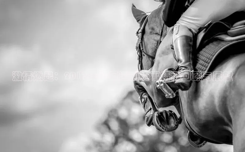 激情燃起：2017年中国运动赛事精彩回顾与展望