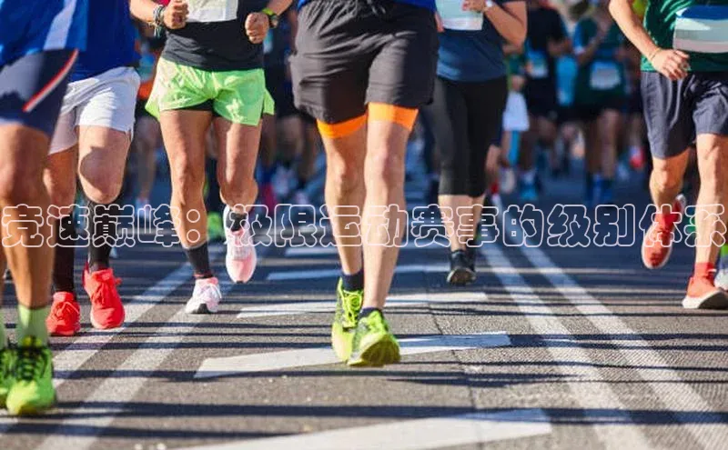 竞速巅峰：极限运动赛事的级别体系