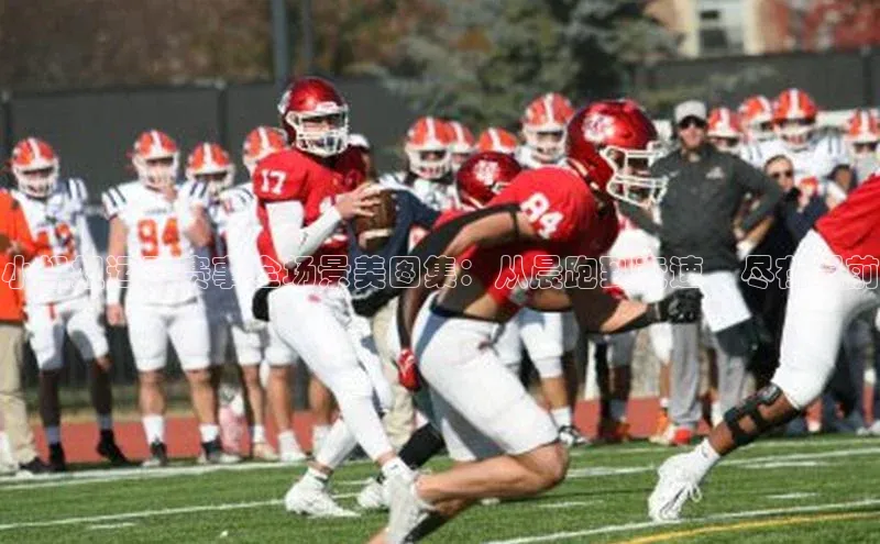 小姐姐运动赛事全场景美图集：从晨跑到竞速，尽在眼前