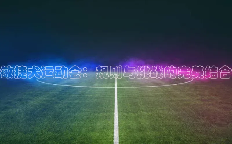 敏捷犬运动会：规则与挑战的完美结合