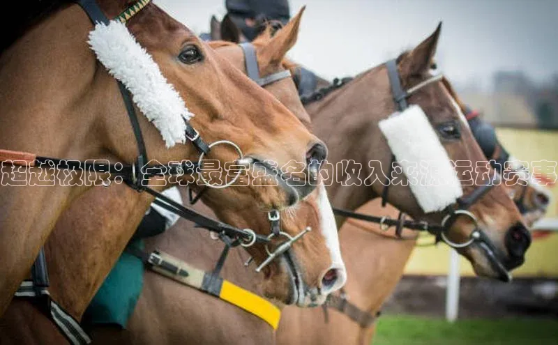 超越极限：全球最富盛名的收入来源运动赛事
