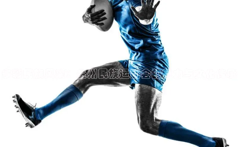 多彩民族风采：贵州民族运动会的魅力与文化传承