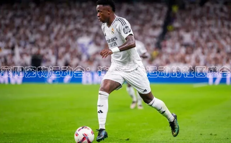 襄阳宠物运动会：连接爱与运动的社区盛会