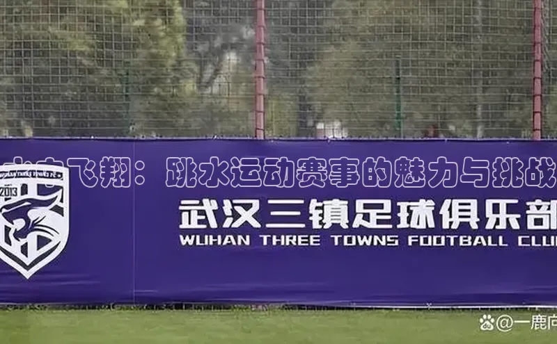 水中飞翔：跳水运动赛事的魅力与挑战