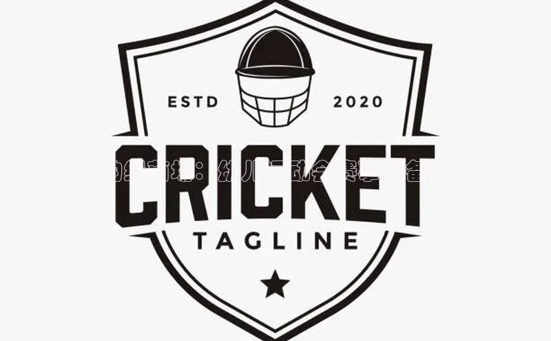 幼苗成长的绿茵场：幼儿运动会赛事准备与解说指南