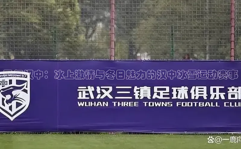 雪舞汉中：冰上激情与冬日魅力的汉中冰雪运动赛事