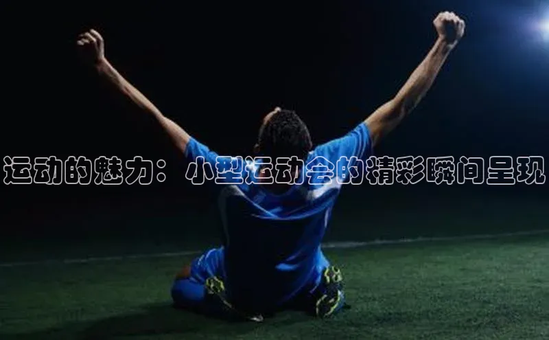 球速体育app官网入口