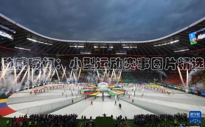 球速体育app官网入口