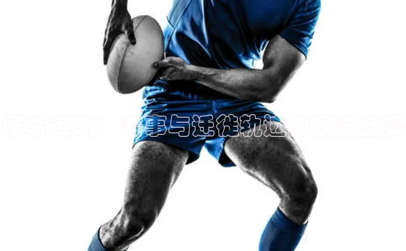 候鸟运动：赛事与迁徙轨迹的视觉盛宴